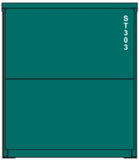 40CS-50 TGE Green 40' Curtain Sided Containers